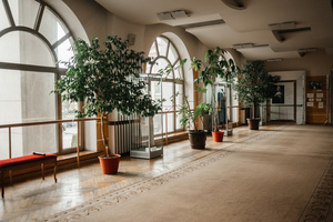 Vladimir  Muliavin Museum